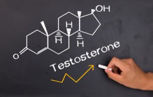 Il Testosterone fa bene al cervello